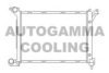 AUTOGAMMA 103671 Radiator, engine cooling